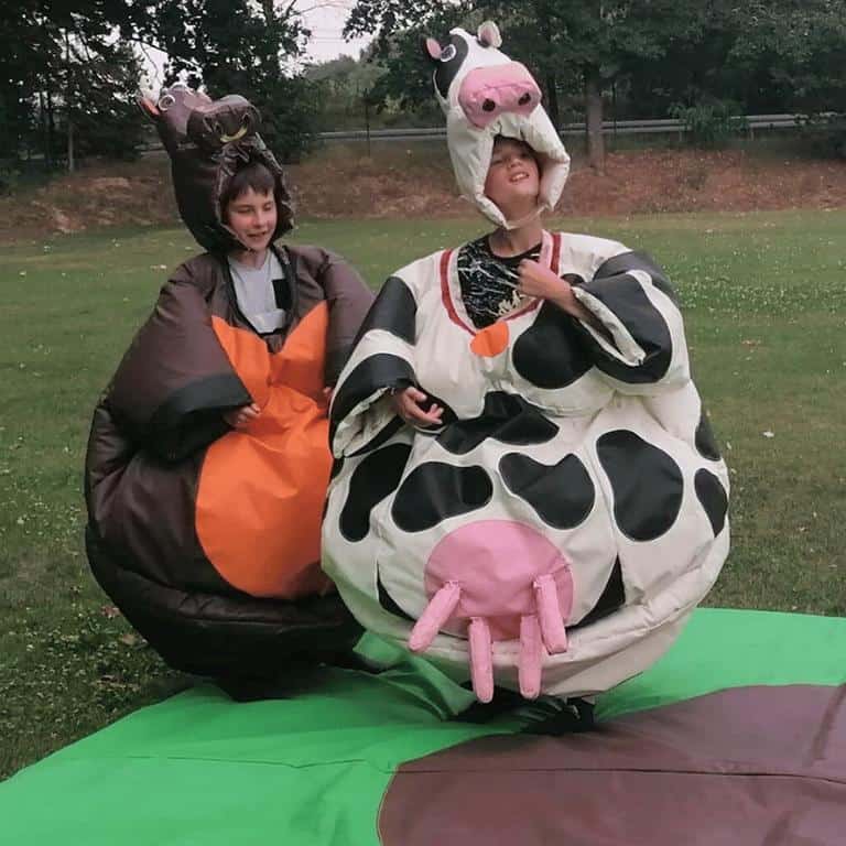 kuh sumo ringen mieten